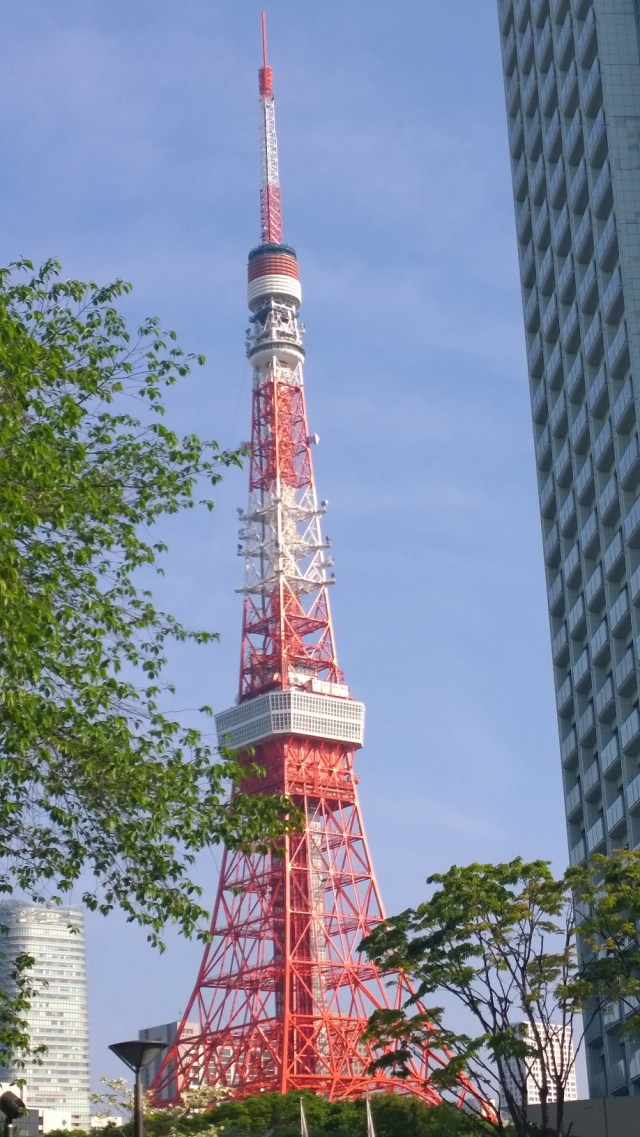 WP_20140427_07_04_56_Pro