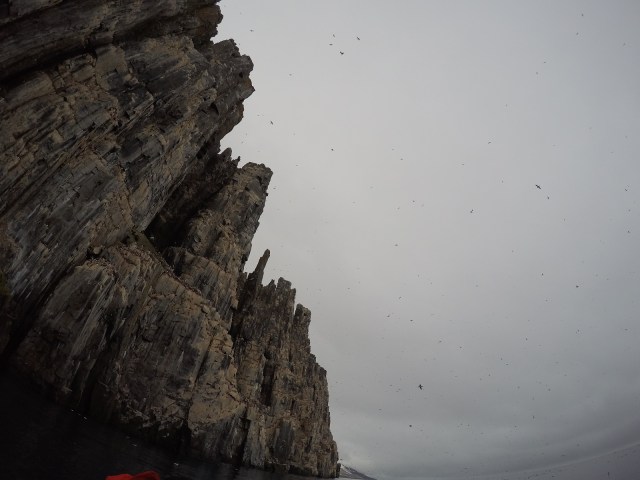 DCIM100GOPROGOPR0451.