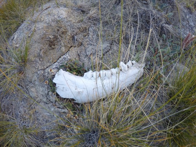 DCIM100GOPROGOPR0470.