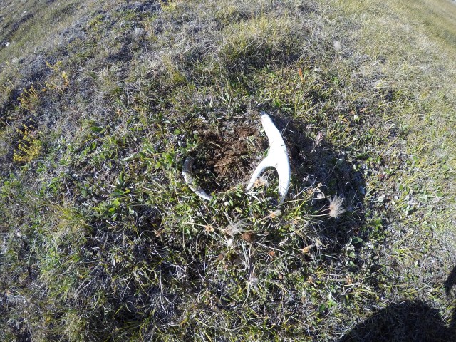 DCIM100GOPROGOPR0498.