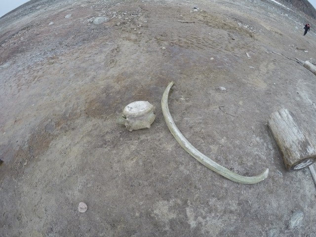 DCIM100GOPROGOPR0344.