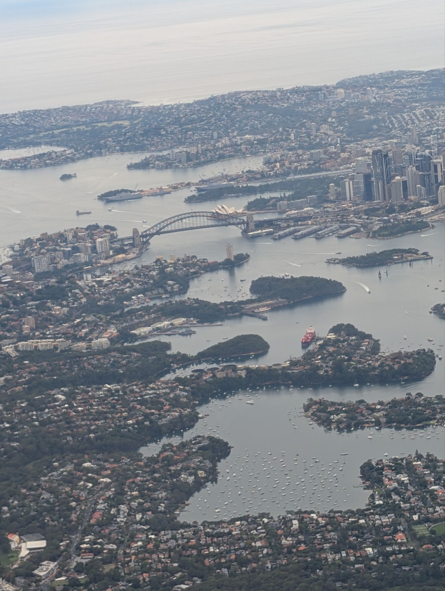 洋楽 Sydney ZXI 15
